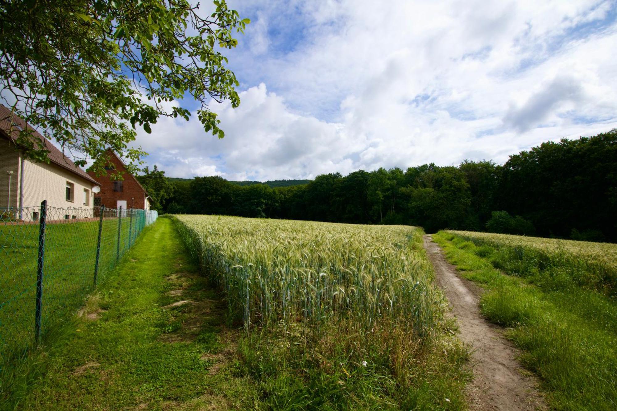 Ferienhaus Plattenberg Bad Oeynhausen Exteriér fotografie