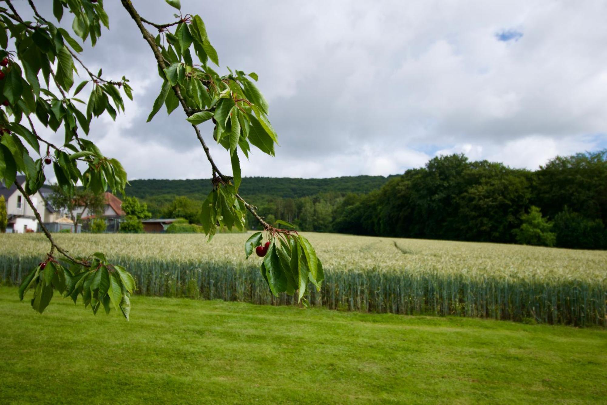 Ferienhaus Plattenberg Bad Oeynhausen Exteriér fotografie